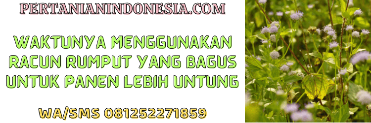 jual,murah,terjangkau,toko pertanian terdekat,pertanian indonesia